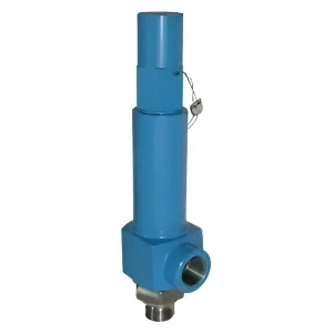 Industrial Safety Valve - Darshan Valve & Controls
