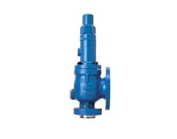 Reactor Safety Valve - Darshan Valve & Controls