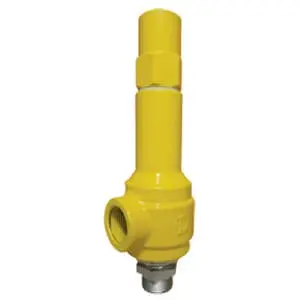 safety relief valve manufacturer