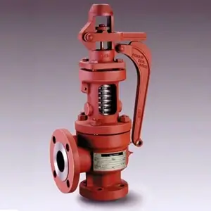 steam safety valve manufacturer