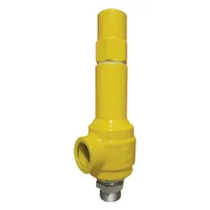 water safety relief valve